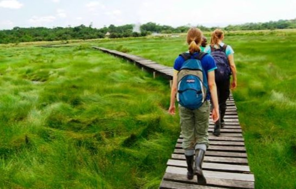 Little Flowers Motel Attraction Pictures