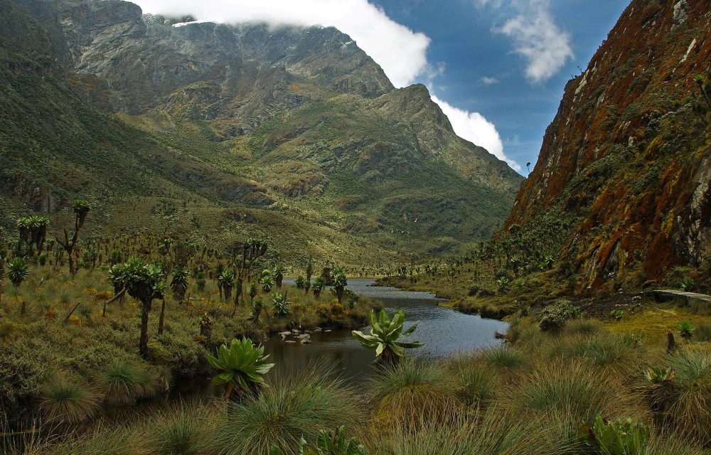 Little Flowers Motel Attraction Pictures